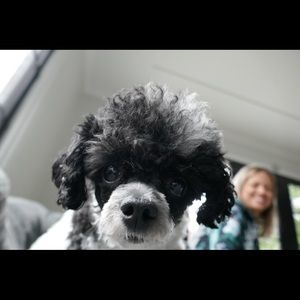 Meet your Posher, Maria